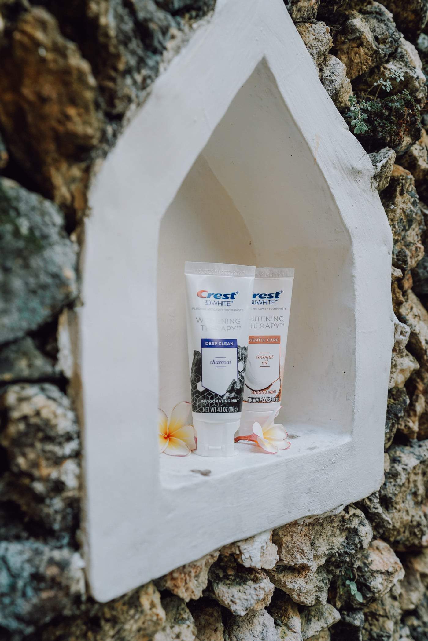 Looking to whiten your teeth without all the fuss? Today, we are chatting all things Crest charcoal toothpaste review. Why we love it & how you can save $2.