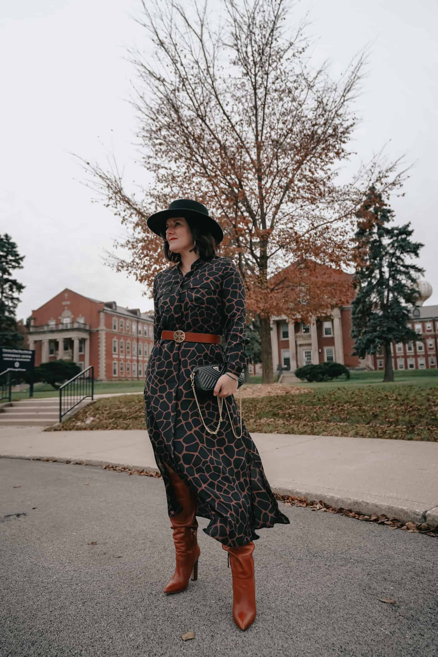 Anna Baun of A Lily Love Affair sharing 20 affordable dresses with sleeves that are perfect for Fall and Winter. Plus, a great Nordstrom giveaway! #Dresses #DressesWithSleeves #FallDresses #WinterDresses #PetiteDresses