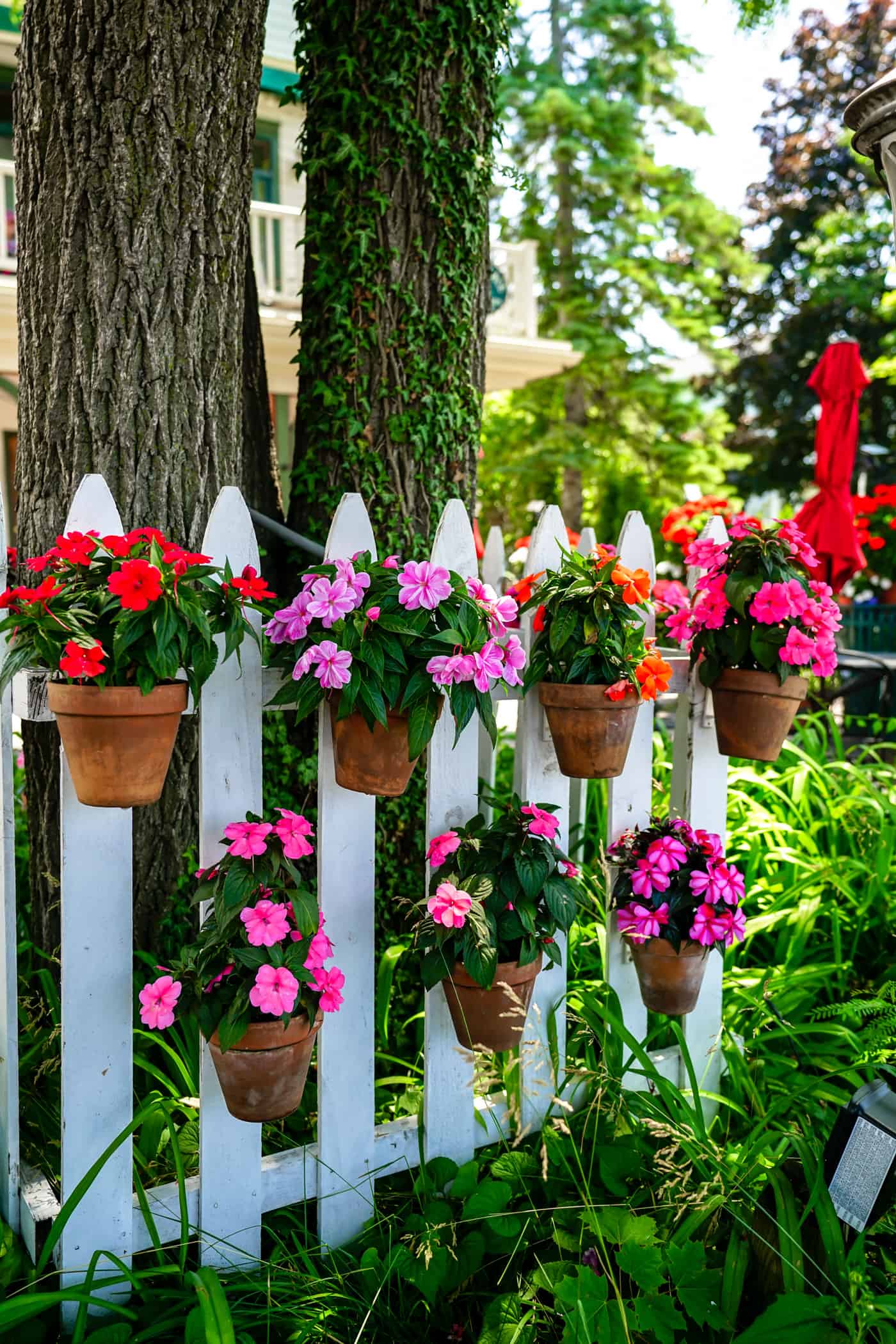 Downtown Saugatuck Michigan with a white picket fence and flowers